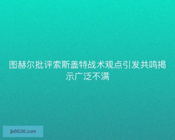 图赫尔批评索斯盖特战术观点引发共鸣揭示广泛不满
