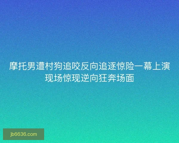摩托男遭村狗追咬反向追逐惊险一幕上演现场惊现逆向狂奔场面